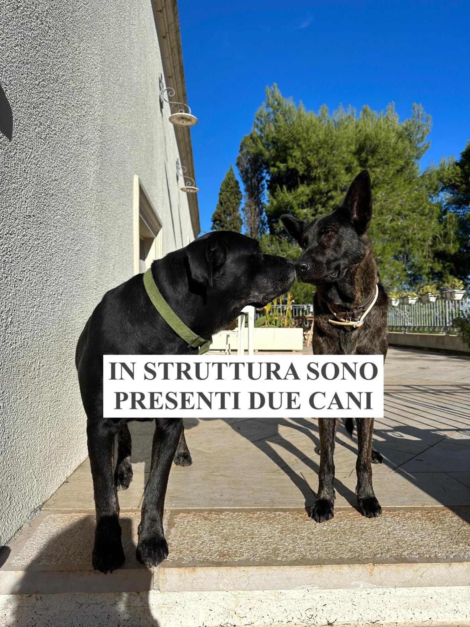 La Dimora Di Ulisse Aparthotel Santa Cesarea Terme Ngoại thất bức ảnh